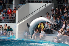 京都水族館