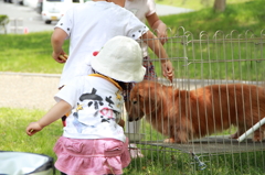 日吉ダムにて
