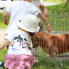日吉ダムにて