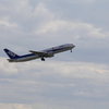 初めての飛行機