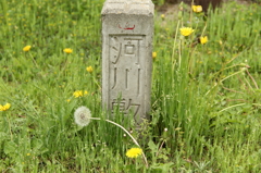 田舎にて
