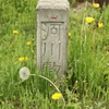 田舎にて