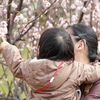 親子と梅