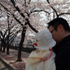 春の散歩