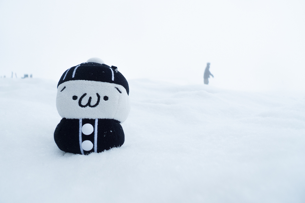 しまむらくん in a Snowfield