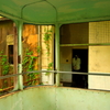 IMG_****