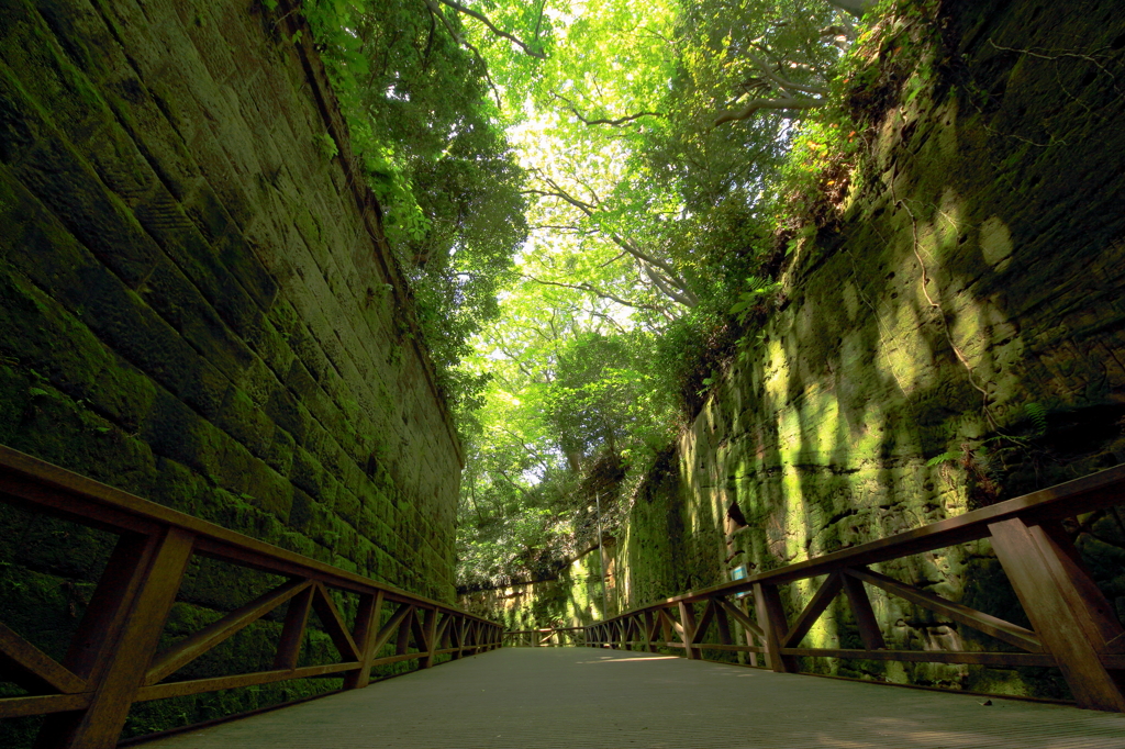 ナウシカかラピュタかぽんぽこか。