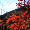 川苔山