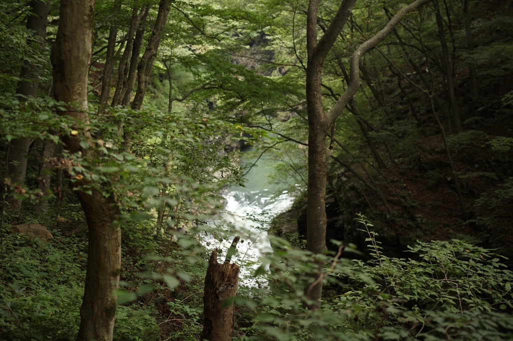 吾妻川1