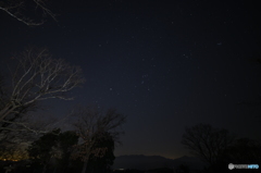 東京の夜空を仰ぐ