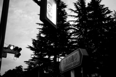at 仙寿院 St. cross