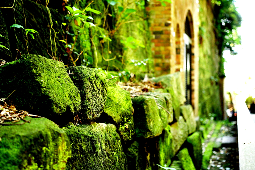 自然が人工を飲み込むまで。