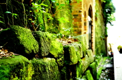 自然が人工を飲み込むまで。