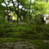 明月院こ