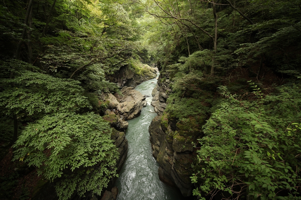 吾妻川4