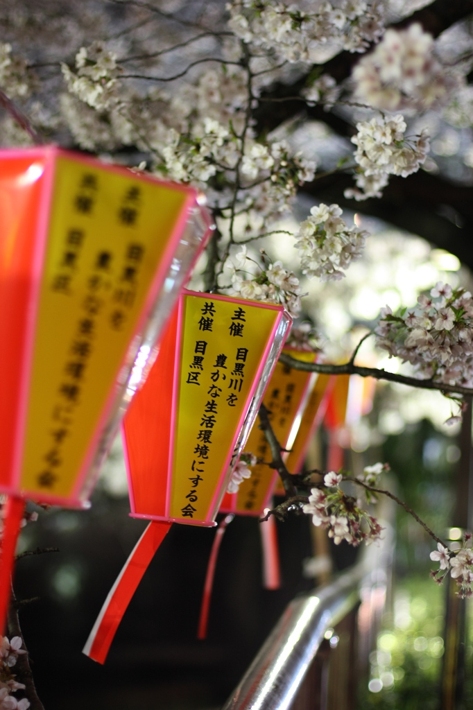 目黒川