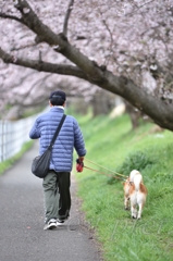 朝の巡回