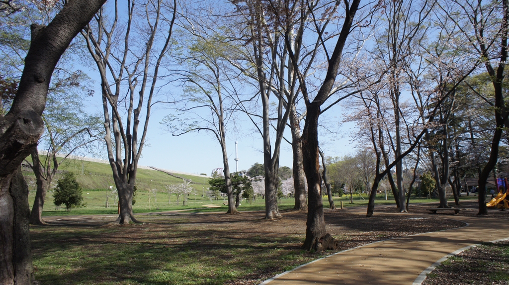 狭山公園　東村山側から堰堤