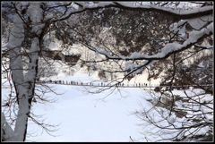 雪国の吊り橋（白川郷）
