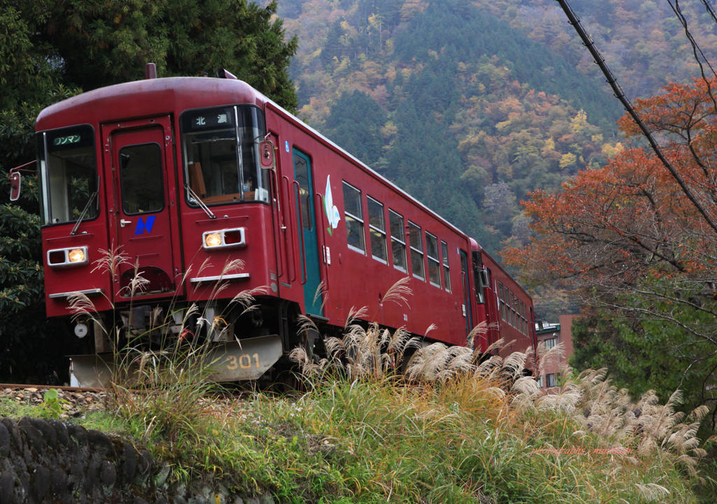 紅葉電車