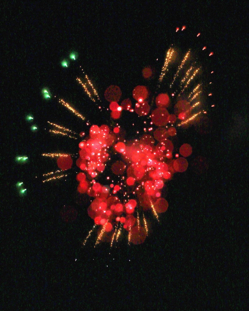 夏の花（7）