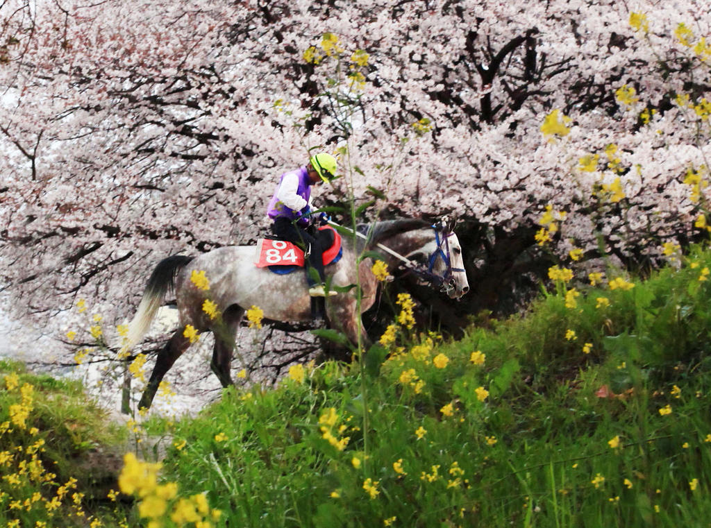 花のトレセン