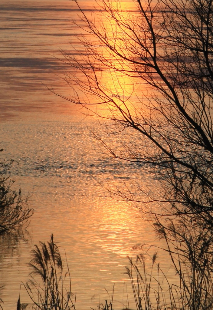 河原の夕景