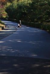 帰り道