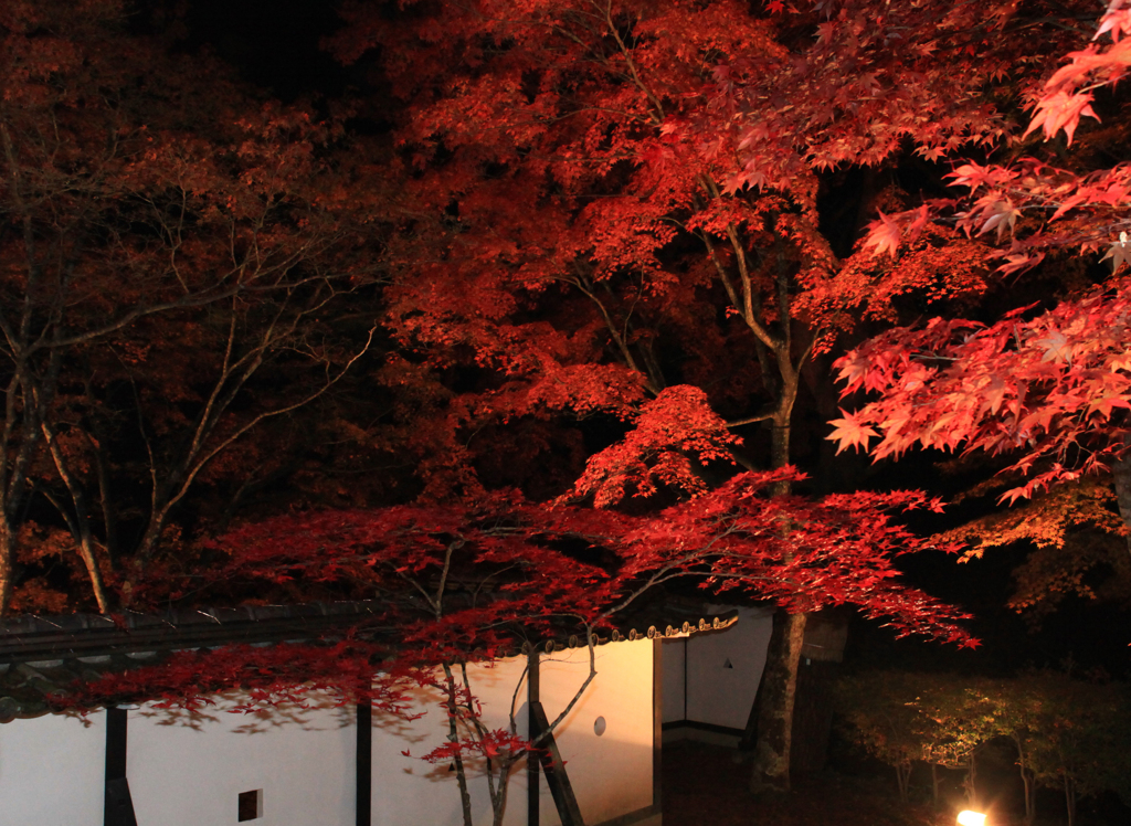 八幡城ライトアップ