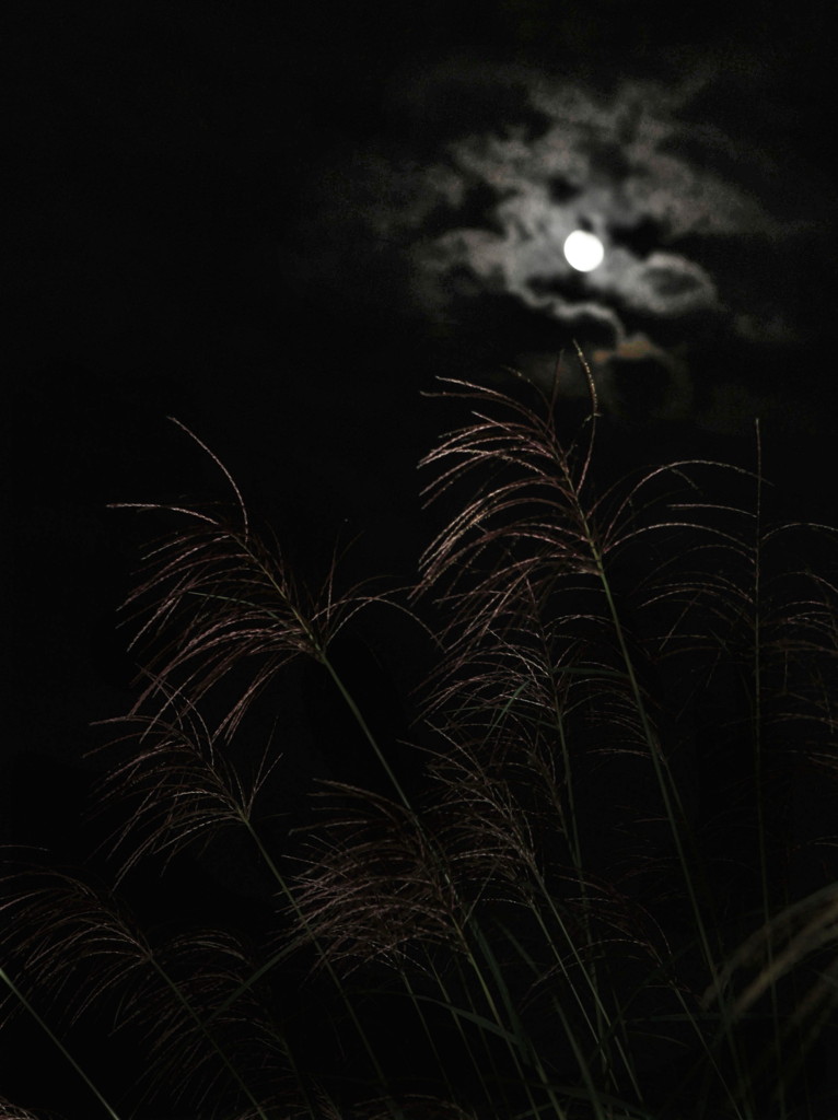 moon♪