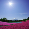 くじら富士