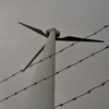 風力発電