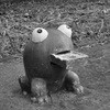 カエル