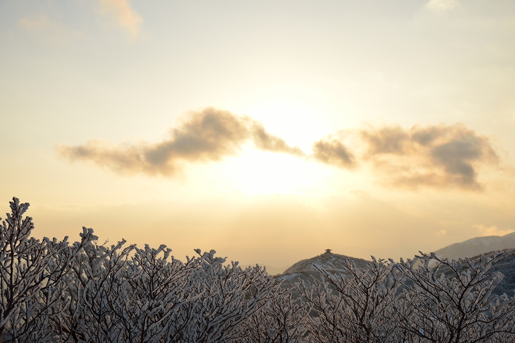 夕焼