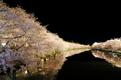 弘前城夜の西濠