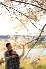 桜色の思い出