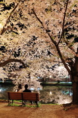 ２人の夜桜