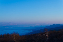 アルプ山系の雲海