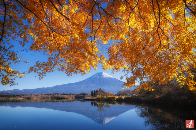 風景・自然写真集