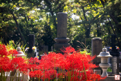お彼岸