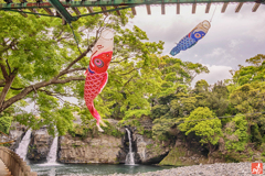 落水と登り鯉