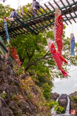 皐月の山歩き