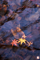 流れに身を任せ…