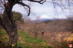 早春の息吹に包まれて