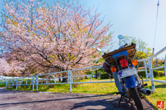 こんな天気の日は仕事をサボろう