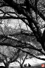 冬日和の公園にて