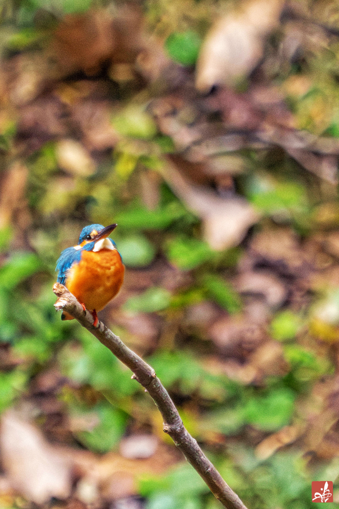 お気に入りの場所