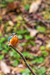 お気に入りの場所