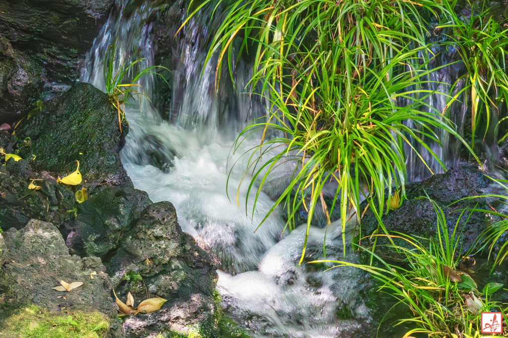 Go with the flow