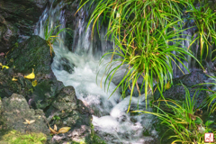 Go with the flow